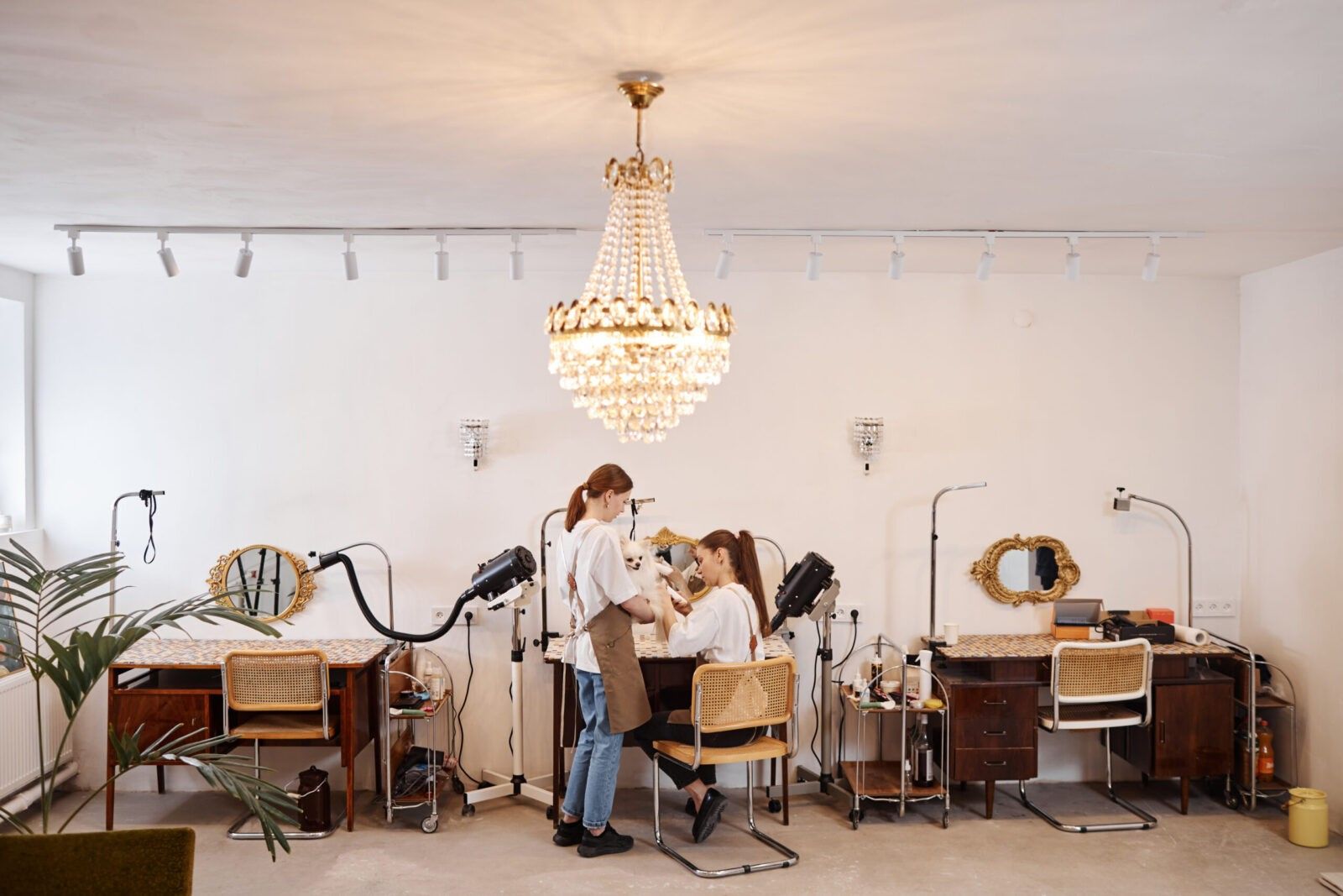 ¿Cómo escoger el local para mi centro de estética?